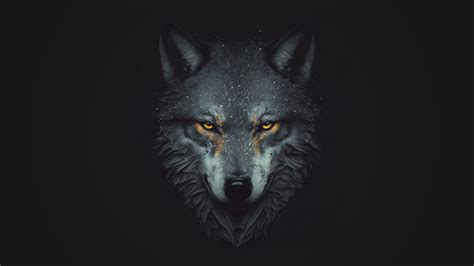 wolf wallpaper 4k